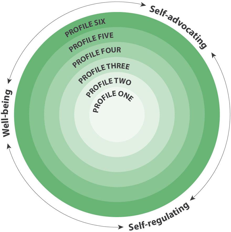 BC Ministry of Education Core Competencies
