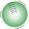 BC Ministry of Education Core Competencies